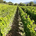 Villa Altavia Travigne *