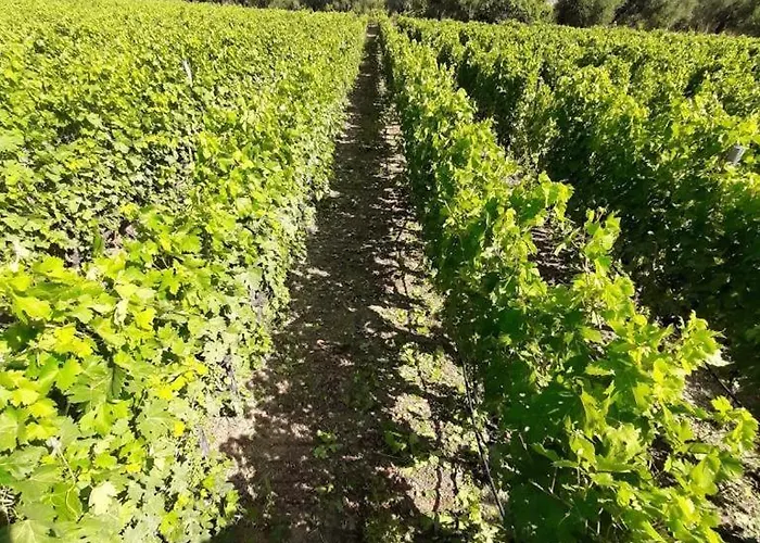 Вилла Altavia Travigne *